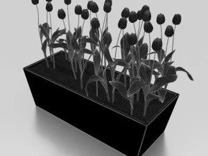 Flowers plant box 001 3D Model