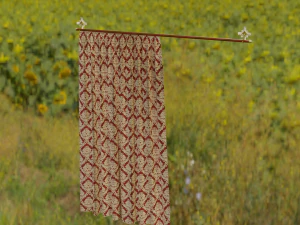curtain modeling by blender 3D Model