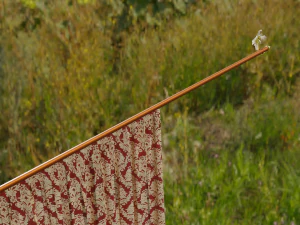 curtain modeling by blender 3D Model