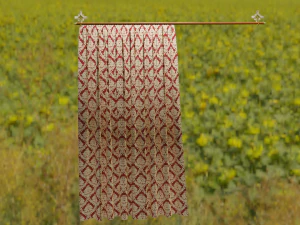 curtain modeling by blender 3D Model