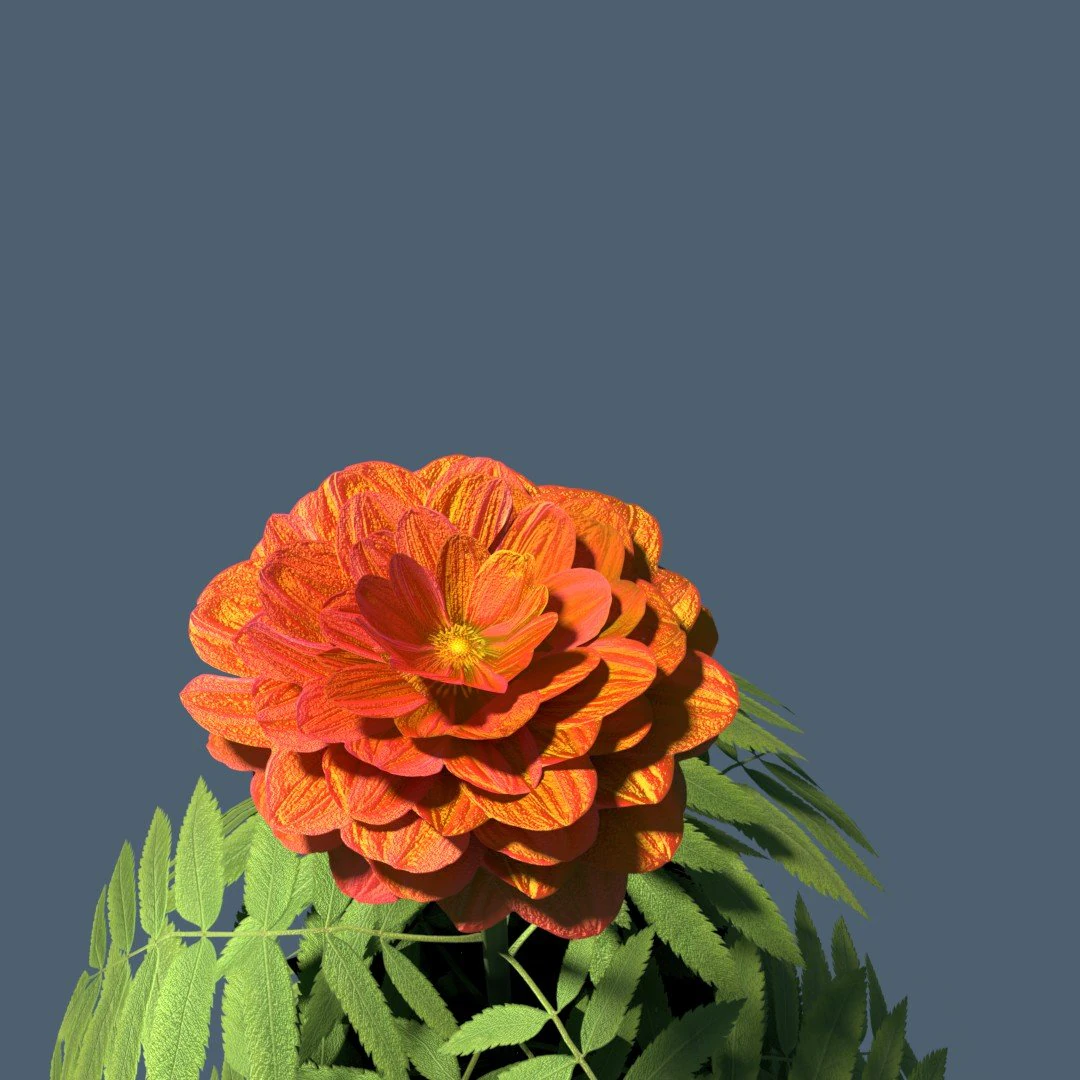 red flower modeling by blender 3D Model .c4d .max .obj .3ds .fbx .stl .blend 