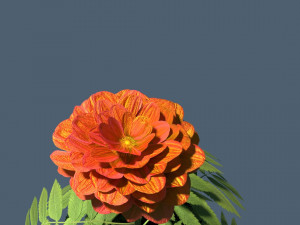 red flower modeling by blender Modèle 3D