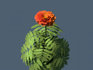 red flower modeling by blender 3D Model
