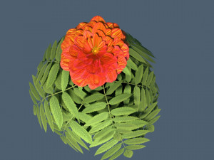 red flower modeling by blender Modelo 3D