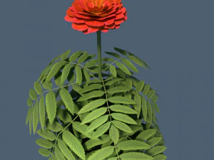 red flower modeling by blender 3D Model