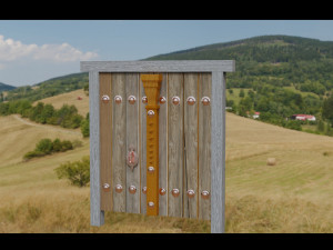 wood door Model 3D