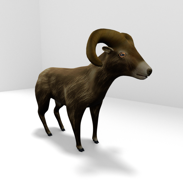 bighorn sheep Modelo 3D .c4d .max .obj .3ds .fbx .stl .blend 