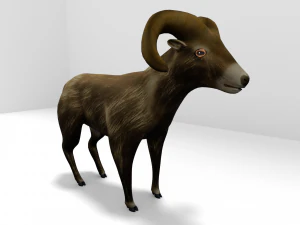 pecora bighorn Modello 3D