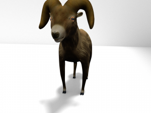 bighorn sheep Modelo 3D