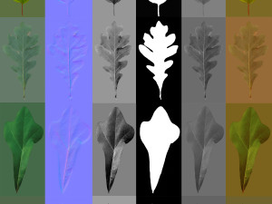 16 high quality leaves CG テクスチャ