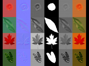 16 high quality leaves CG テクスチャ