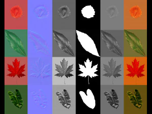 16 high quality leaves CG Textures