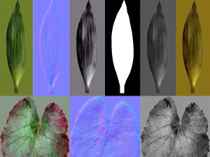 16 high quality leaves CG テクスチャ