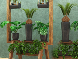 wooden stand of plants collection 3Dモデル