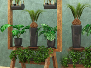 wooden stand of plants collection 3D Model