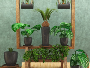 wooden stand of plants collection 3Dモデル