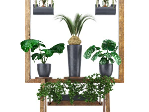 wooden stand of plants collection 3D Model