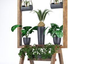 wooden stand of plants collection 3D Model