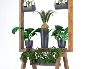 деревянная подставка для коллекции растений 3D Модель