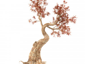 pack of trees Modelo 3D
