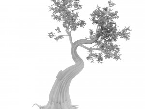 pack of trees Modelo 3D