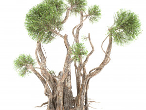 pack of trees Modelo 3D