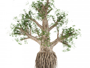 pack of trees Modelo 3D