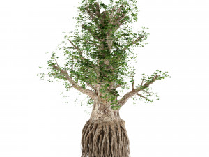 pack of trees Modelo 3D