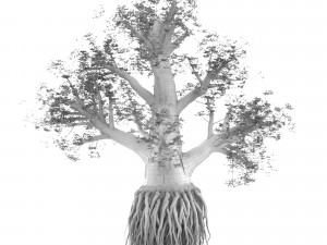 pack of trees Modelo 3D
