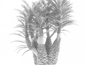 Palm tree 3D Model