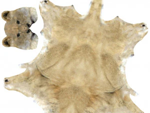 lew Model do druku 3D