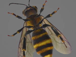 bee 3D Принт Модель