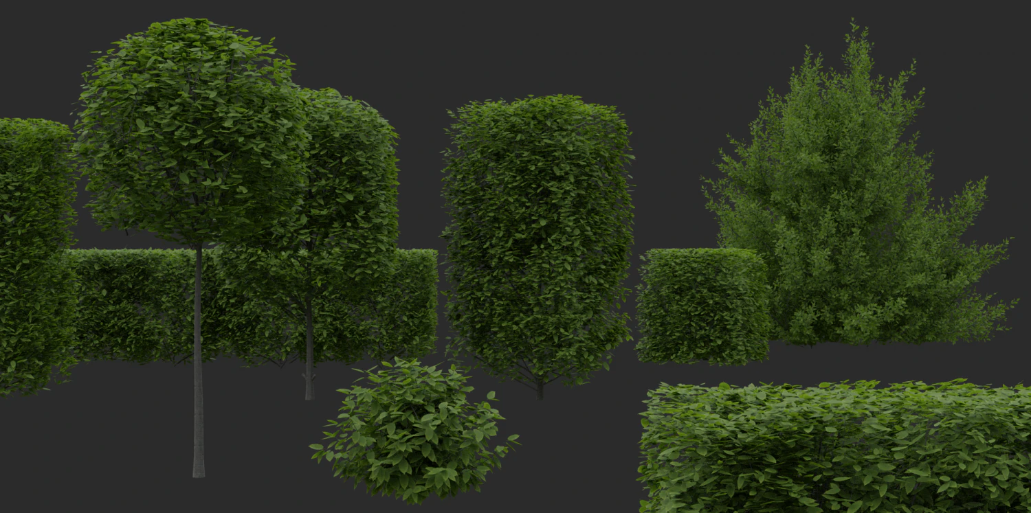 hedges shrubs pack 3D Model .c4d .max .obj .3ds .fbx .stl .blend 