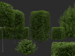 hedges shrubs pack 3D Model