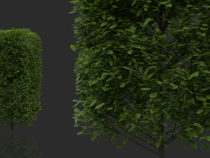 hedges shrubs pack Modello 3D