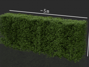 hedges shrubs pack Modello 3D