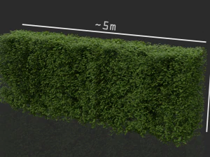 hedges shrubs pack 3D Model
