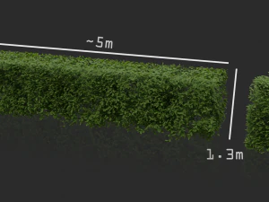 hedges shrubs pack 3D Model