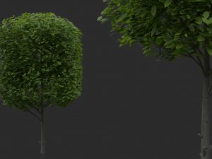 hedges shrubs pack Modello 3D