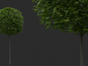 hedges shrubs pack Modello 3D