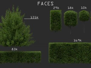 hedges shrubs pack 3D Model