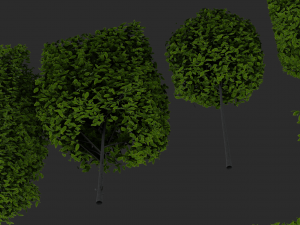 hedges shrubs pack Modello 3D