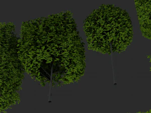 hedges shrubs pack 3D Model