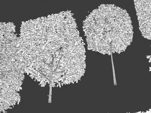hedges shrubs pack Modello 3D