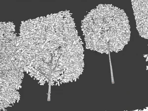 hedges shrubs pack 3D Model