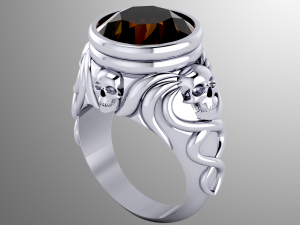 ring ak 5 Model 3D