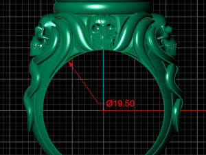 ring ak 5 Modelo 3D