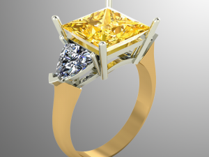 ring ak 7 Model 3D