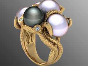 ring ak 9 Model 3D