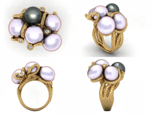 dering ak 9 Model 3D